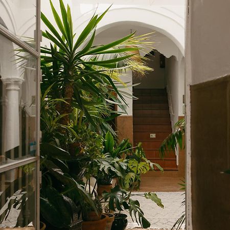 Hostal Africa Тарифа Экстерьер фото