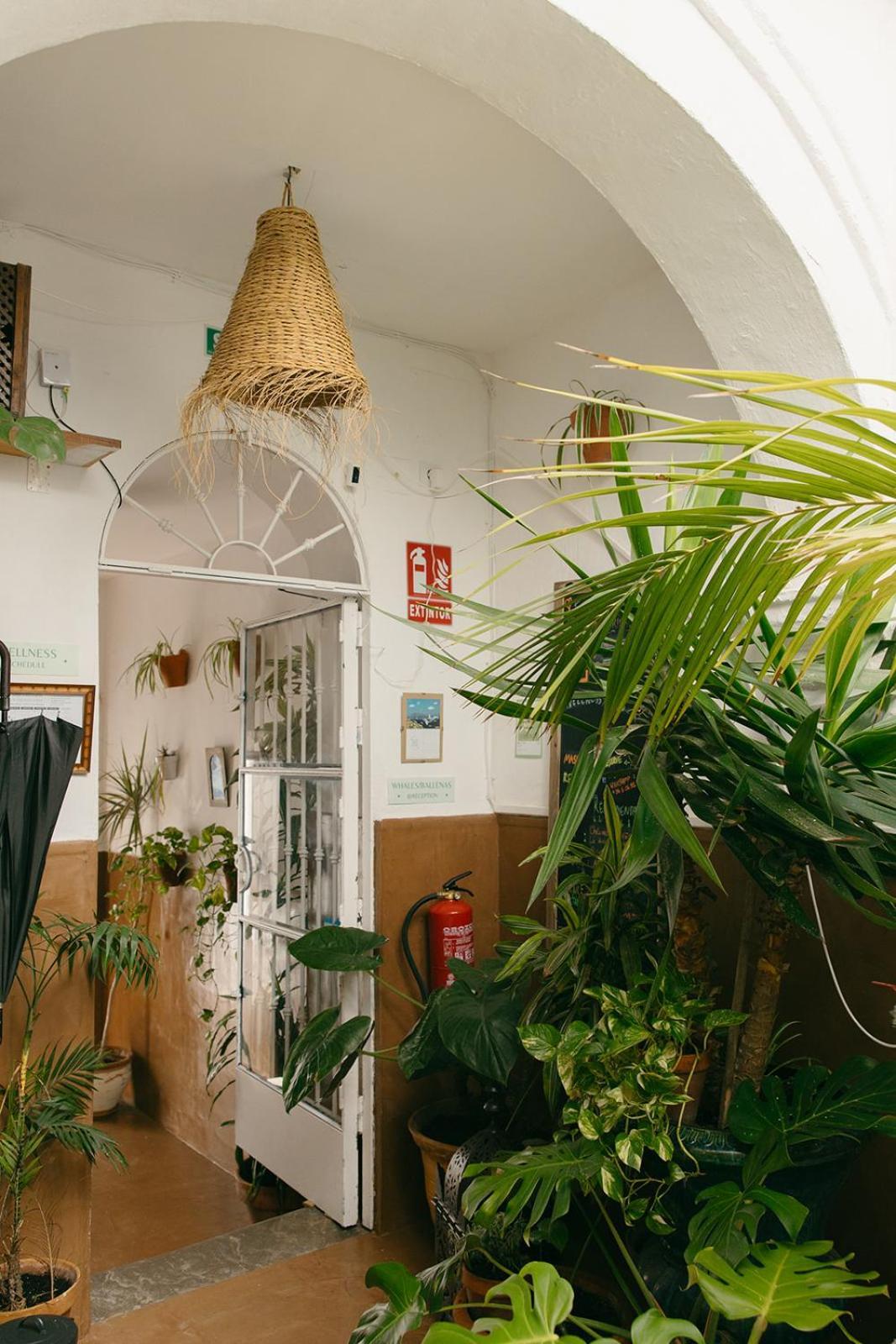 Hostal Africa Тарифа Экстерьер фото